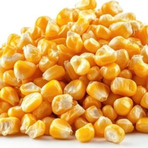 Corn/Maize ( dried )