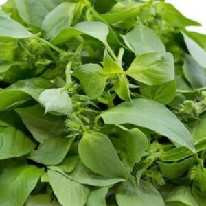 Curry leaf (per tie)