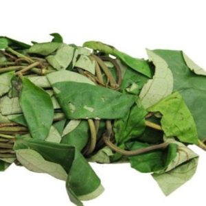 Uziza leaf
