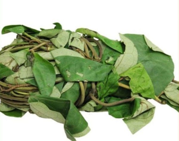 Uziza leaf