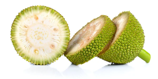 Breadfruit