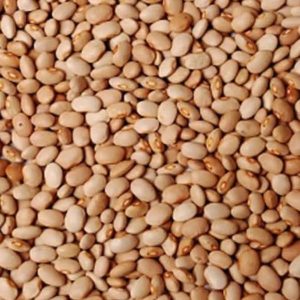 Brown beans