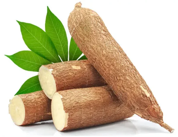 Cassava tuber