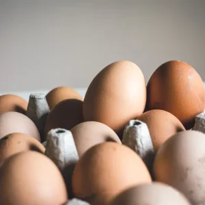 Egg