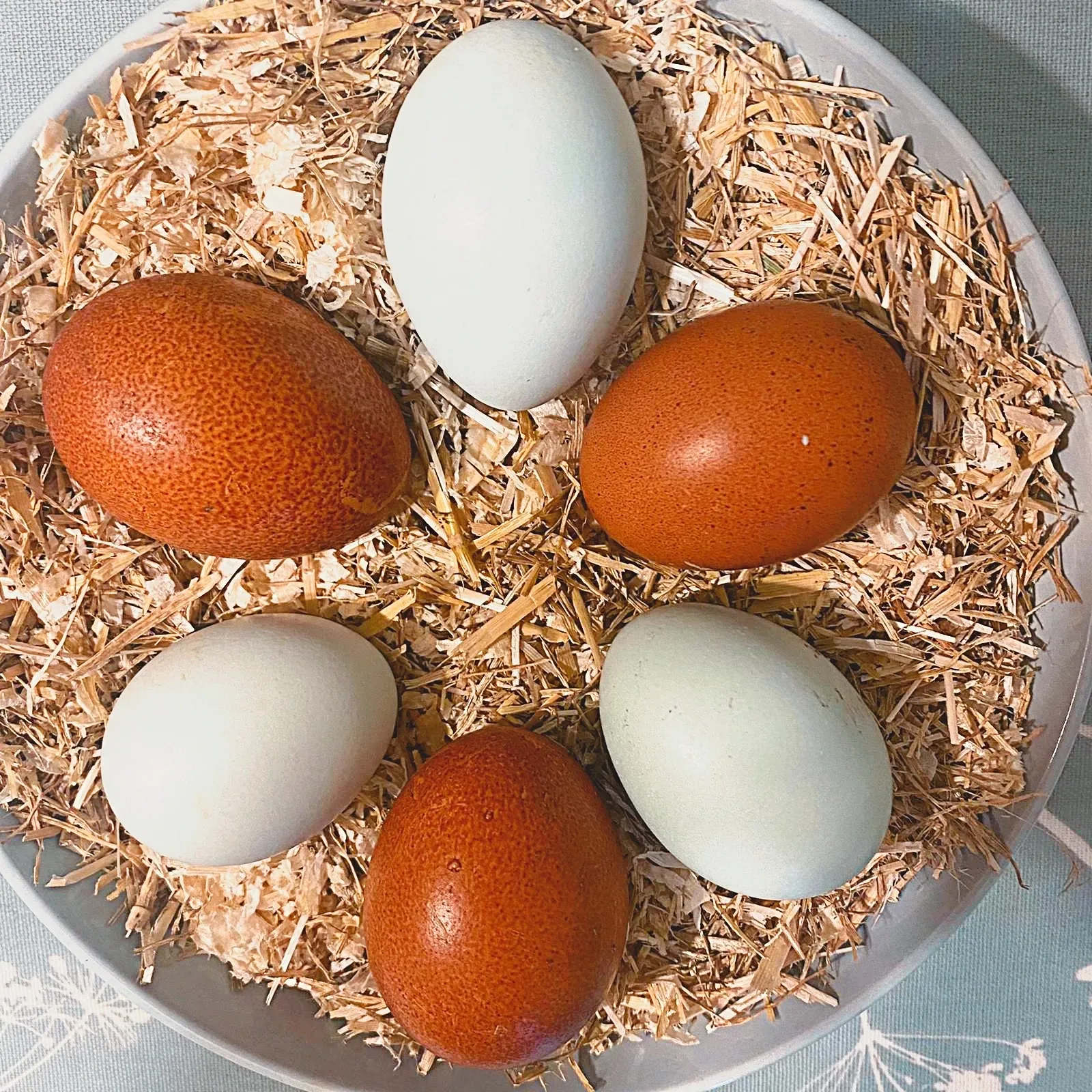 Egg (Half crate) - Image 2