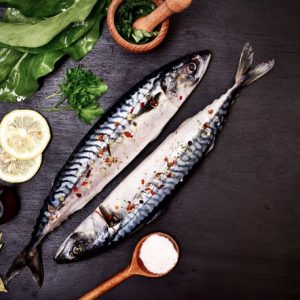 Icefish