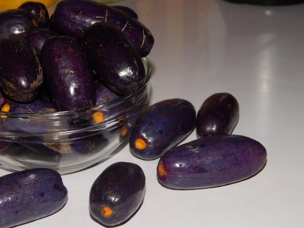 Ube