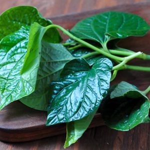 Pepper leaf