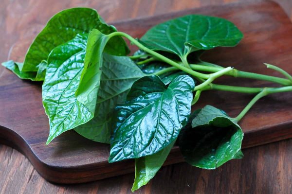 Pepper leaf