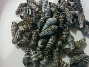 Periwinkle – Evo Fresh Mart