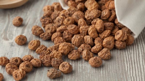 Tigernut