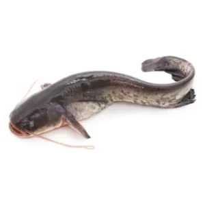 Fresh-Catfish-Cut-Up (Per one)