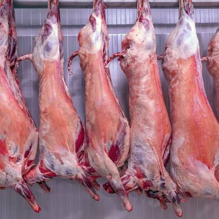 Goat - Whole (Killed & Smoked - Image 2