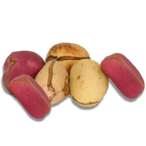 Kolanut