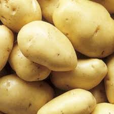 Irish-potatoes (half painter)