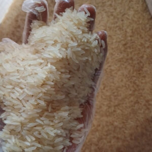 Abakiliki Rice ( per painter)