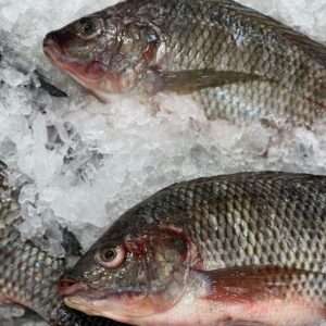 Tilapia fish (kg)