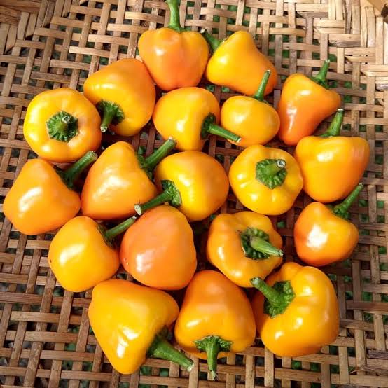 Yellow bell pepper - Image 2