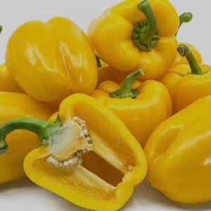 Yellow bell pepper