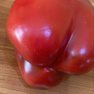 Big size Red bell pepper