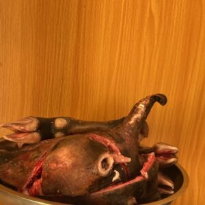 Goat Head and Legs