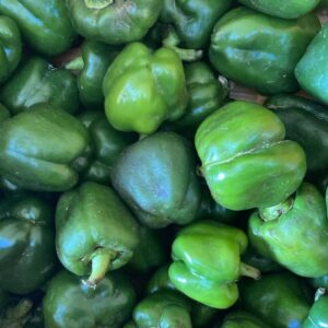 Green Pepper (small size)