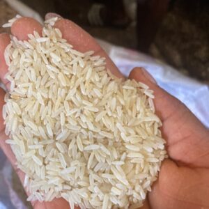 foreign Rice -mama gold (painter)