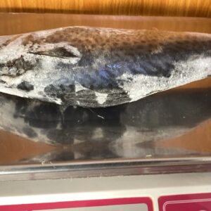 Ice Fish ( 0.5kg)