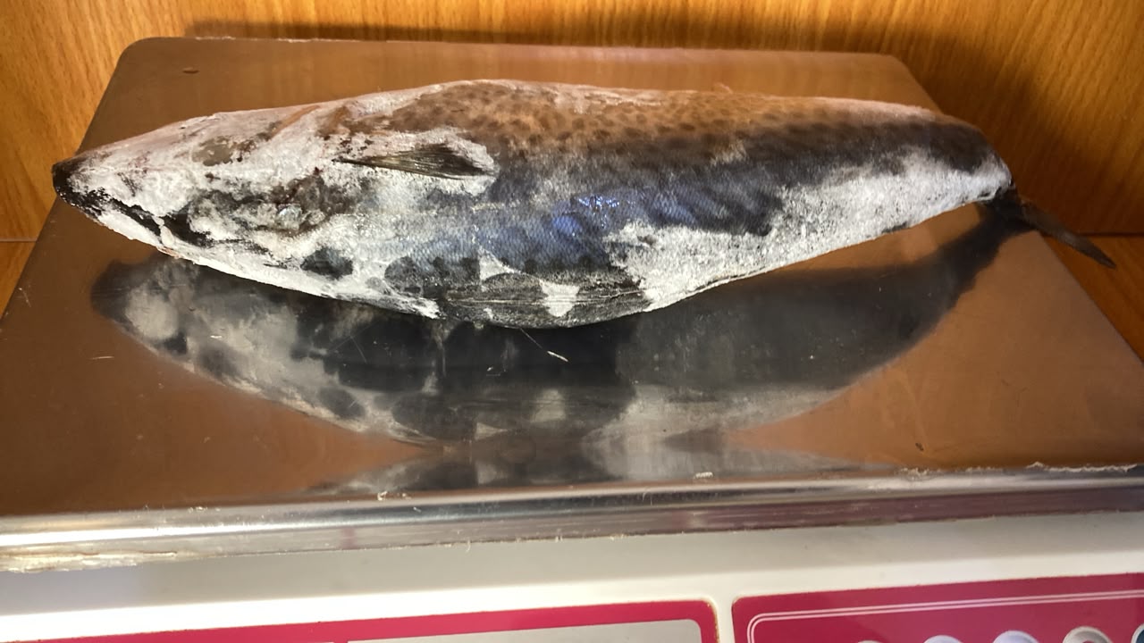 Ice Fish ( 0.5kg)